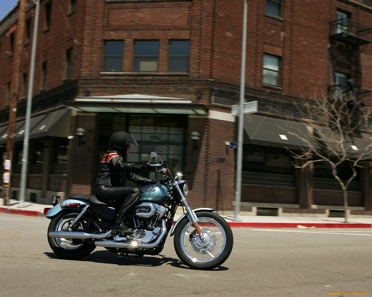 , harley, davidson